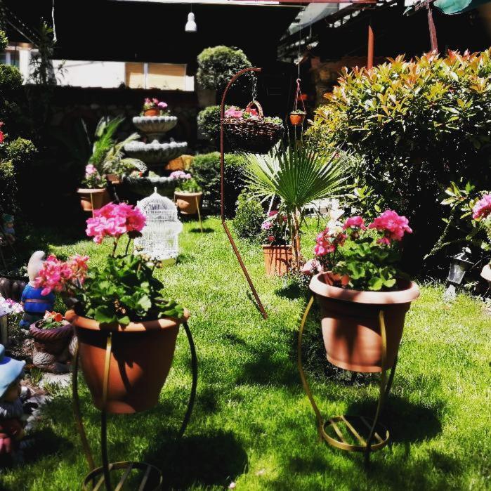 Gala-Garden Hotel Bitola Ngoại thất bức ảnh